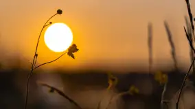 Majowy zachód słońca nad jeziorem Siercze, 2023 - zdjęcie 38