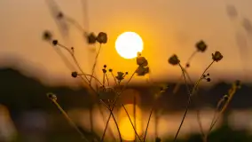 Majowy zachód słońca nad jeziorem Siercze, 2023 - zdjęcie 22