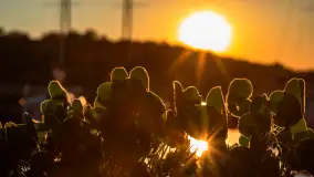 Zachód słońca nad jeziorem Kisajno widziany z dawnego Almaturu - zdjęcie 33
