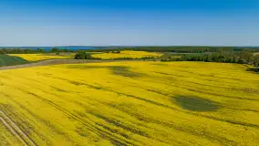 Wspomnienia rzepakowych pól na Mazurach 2023 - zdjęcie 34