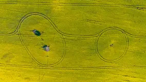 Wspomnienia rzepakowych pól na Mazurach 2023 - zdjęcie 69