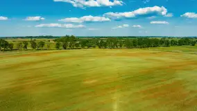 Makowe, mazurskie, czerwone pola, czerwiec 2023 r. - zdjęcie 31