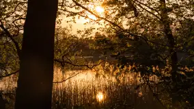 Zachód słońca nad jeziorem Mój, maj 2023 r. - zdjęcie 21
