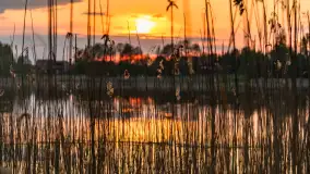 Zachód słońca nad jeziorem Mój, maj 2023 r. - zdjęcie 25