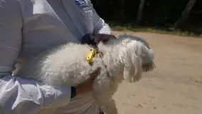 Recenzje Tickless – ultradźwiękowego urządzenia przeciw kleszczom - zdjęcie 3