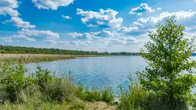 Jezioro Seksty i okolice kanału Jeglińskiego, czerwiec 2023 r. - zdjęcie 1