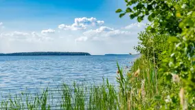 Jezioro Seksty i okolice kanału Jeglińskiego, czerwiec 2023 r. - zdjęcie 5