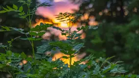 Zachód słońca nad jeziorem Tałty w Mikołajkach, czerwiec 2023 r. - zdjęcie 10