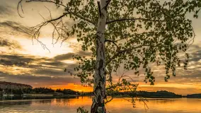 Zachód słońca nad jeziorem Tałty w Mikołajkach, czerwiec 2023 r. - zdjęcie 20