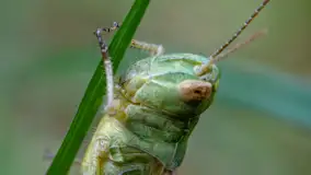 Najmniejsi mieszkańcu Mazur w naszym obiektywie, lipiec 2023 r. - zdjęcie 27