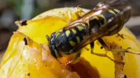 Najmniejsi mieszkańcu Mazur w naszym obiektywie, lipiec 2023 r. - zdjęcie 35