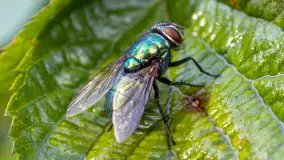 Najmniejsi mieszkańcu Mazur w naszym obiektywie, lipiec 2023 r. - zdjęcie 21