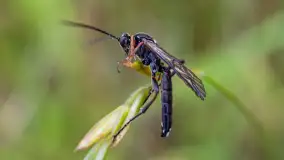 Najmniejsi mieszkańcu Mazur w naszym obiektywie, lipiec 2023 r. - zdjęcie 38