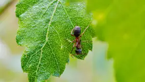 Najmniejsi mieszkańcu Mazur w naszym obiektywie, lipiec 2023 r. - zdjęcie 14
