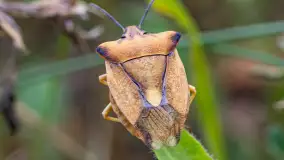 Najmniejsi mieszkańcu Mazur w naszym obiektywie, lipiec 2023 r. - zdjęcie 23