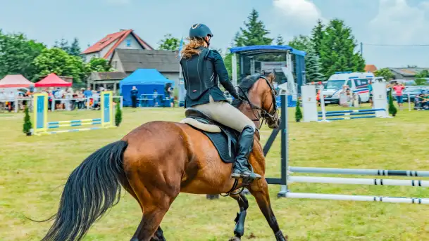 Fotorelacja z Sulimiady, czerwiec 2023 r. - zdjęcie 3