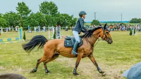 Fotorelacja z Sulimiady, czerwiec 2023 r. - zdjęcie 35