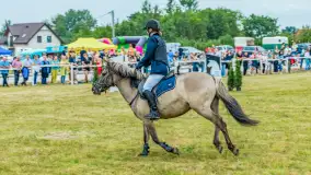 Fotorelacja z Sulimiady, czerwiec 2023 r. - zdjęcie 46