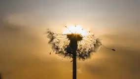 Zachód słońca nad jeziorem Dejgunek, maj 2023 r. - zdjęcie 10