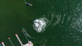 Fotorelacja z Arbuzobrania i Mistrzostw Polski w Flyboardingu cz. II - zdjęcie 13