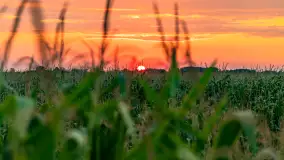 Zachód słońca w okolicach Wopławek i Kętrzyna - zdjęcie 3