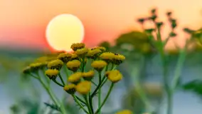 Zachód słońca w okolicach Wopławek i Kętrzyna - zdjęcie 18