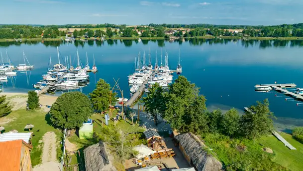 Poranek w tle dla Mew, sierpień 2023 r.