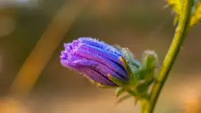 Wschód słońca we wsi Pożarki, wrzesień 2023 r. - zdjęcie 25