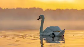 Wrześniowy i mglisty wschód słońca nad jeziorem Mój - zdjęcie 20