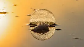 Wrześniowy i mglisty wschód słońca nad jeziorem Mój - zdjęcie 23