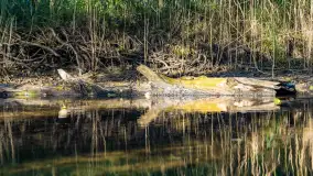 Piękno Sapiny w okolicach Pozezdrza, wrzesień 2023 r. - zdjęcie 12