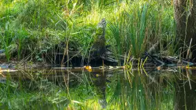 Piękno Sapiny w okolicach Pozezdrza, wrzesień 2023 r. - zdjęcie 45