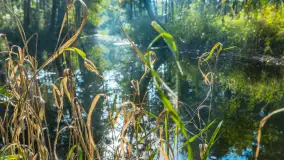 Piękno Sapiny w okolicach Pozezdrza, wrzesień 2023 r. - zdjęcie 42