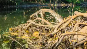 Piękno Sapiny w okolicach Pozezdrza, wrzesień 2023 r. - zdjęcie 34