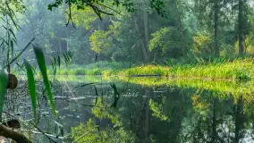 Piękno Sapiny w okolicach Pozezdrza, wrzesień 2023 r. - zdjęcie 21