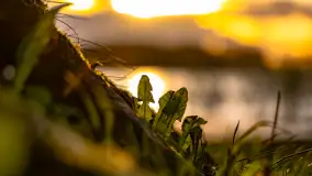 Zachód słońca nad jeziorem Mój, październik 2023 r. - zdjęcie 17