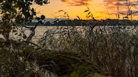 Zachód słońca nad jeziorem Mój, październik 2023 r. - zdjęcie 16