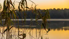 Wschód słońca nad jeziorem Iławki - zdjęcie 23