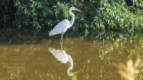 Miłośnicy Mazur - magia regionu na zdjęciach Marty Sotnik - zdjęcie 26