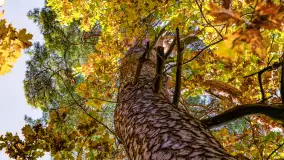 Złota mazurska jesień w Mrągowie nad jeziorem Juno - zdjęcie 13