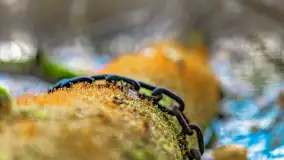 Złota mazurska jesień w Mrągowie nad jeziorem Juno - zdjęcie 48