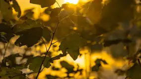 Jesień nad jeziorem Iławki, październik 2023 r. - zdjęcie 6