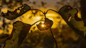 Jesień nad jeziorem Iławki, październik 2023 r. - zdjęcie 24