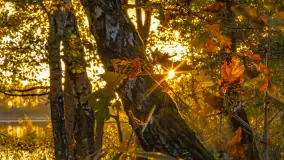 Jesień nad jeziorem Iławki, październik 2023 r. - zdjęcie 31