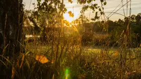 Przyrodniczy wschód słońca nad jeziorem Mażańskie - zdjęcie 7