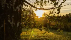 Przyrodniczy wschód słońca nad jeziorem Mażańskie - zdjęcie 15