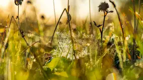 Przyrodniczy wschód słońca nad jeziorem Mażańskie - zdjęcie 5