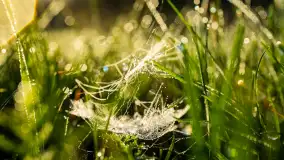 Przyrodniczy wschód słońca nad jeziorem Mażańskie - zdjęcie 16