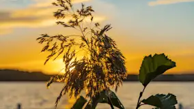 Zachód słońca nad jeziorem Bełdany, Mazurski Raj - zdjęcie 31