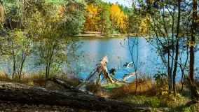 Magia mazurskiej jesieni nad jeziorem Wesołek, listopad 2023 r. - zdjęcie 24